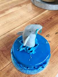 dolfijn taart